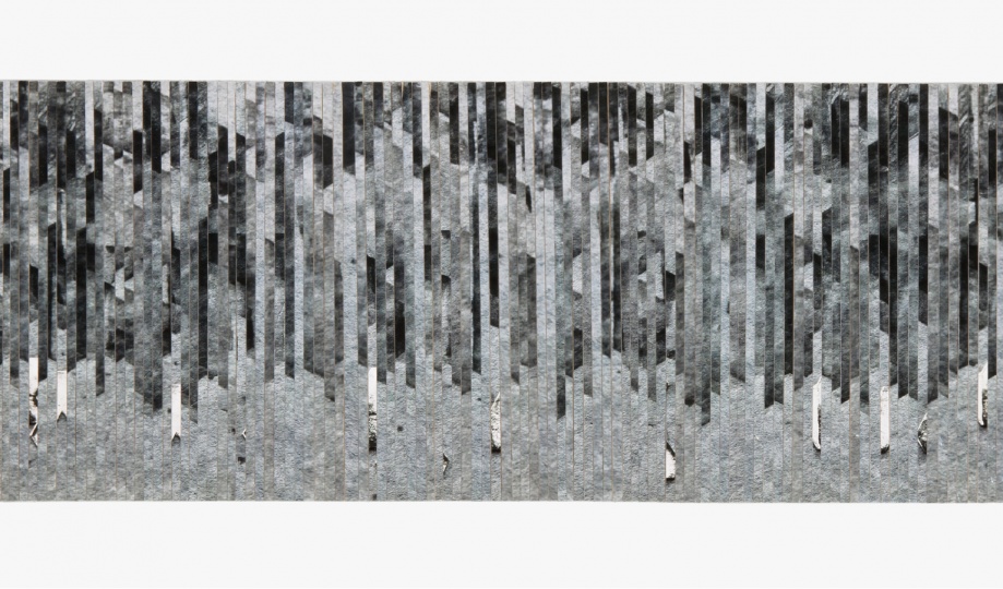 SAMEN-ZITTEN - Verschijnen-Verdwijnen, versneden fotografie 40x13cm 